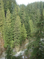 DSC02677.JPG