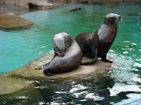 DSC02908.JPG
