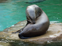 DSC02909.JPG