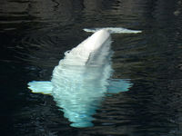 DSC02911.JPG