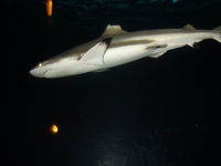 DSC02912.JPG
