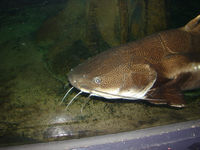 DSC02922.JPG