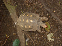 DSC02927.JPG