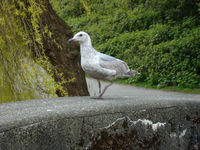 DSC03071.JPG