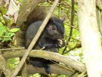DSC03077.JPG