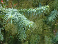 DSC03087.JPG