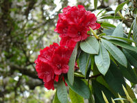 DSC03090.JPG
