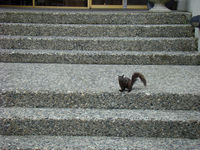 DSC03100.JPG