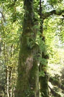 IMG_9725.JPG