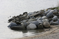 IMG_3450.JPG