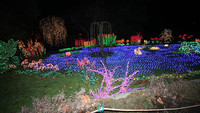 IMG_3824cr.jpg