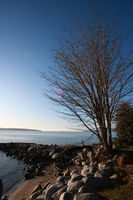IMG_1616.JPG