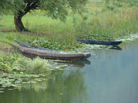 DSC01171_resize.JPG