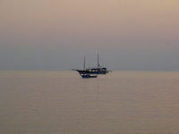 pict1239.jpg