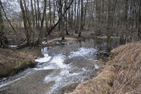 DSC_2958.JPG