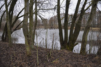 DSC_2964.JPG