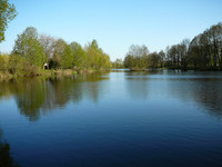 P1100051_resize.JPG