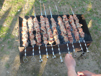 P1100070_resize.JPG