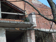 P1130562_изменение_размера.JPG