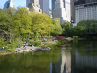 P5060042_resize.JPG