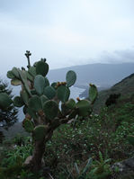 DSC00138.JPG