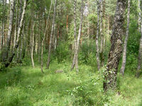 pict0973.jpg